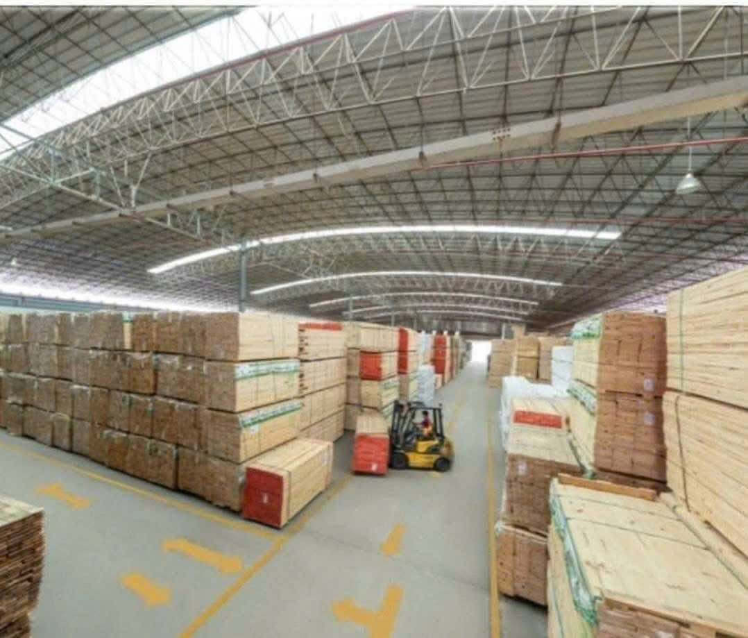 Cần bán Kho - Nhà xưởng Nhơn Trạch, Đồng Nai, Diện tích 15000m², Giá Thương lượng 5