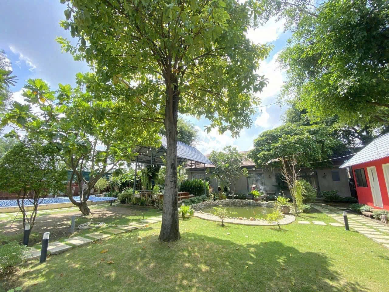 Cho thuê Biệt thự Phường Tam Bình, Thủ Đức, Diện tích 1500m², Giá 27 Triệu/tháng 6