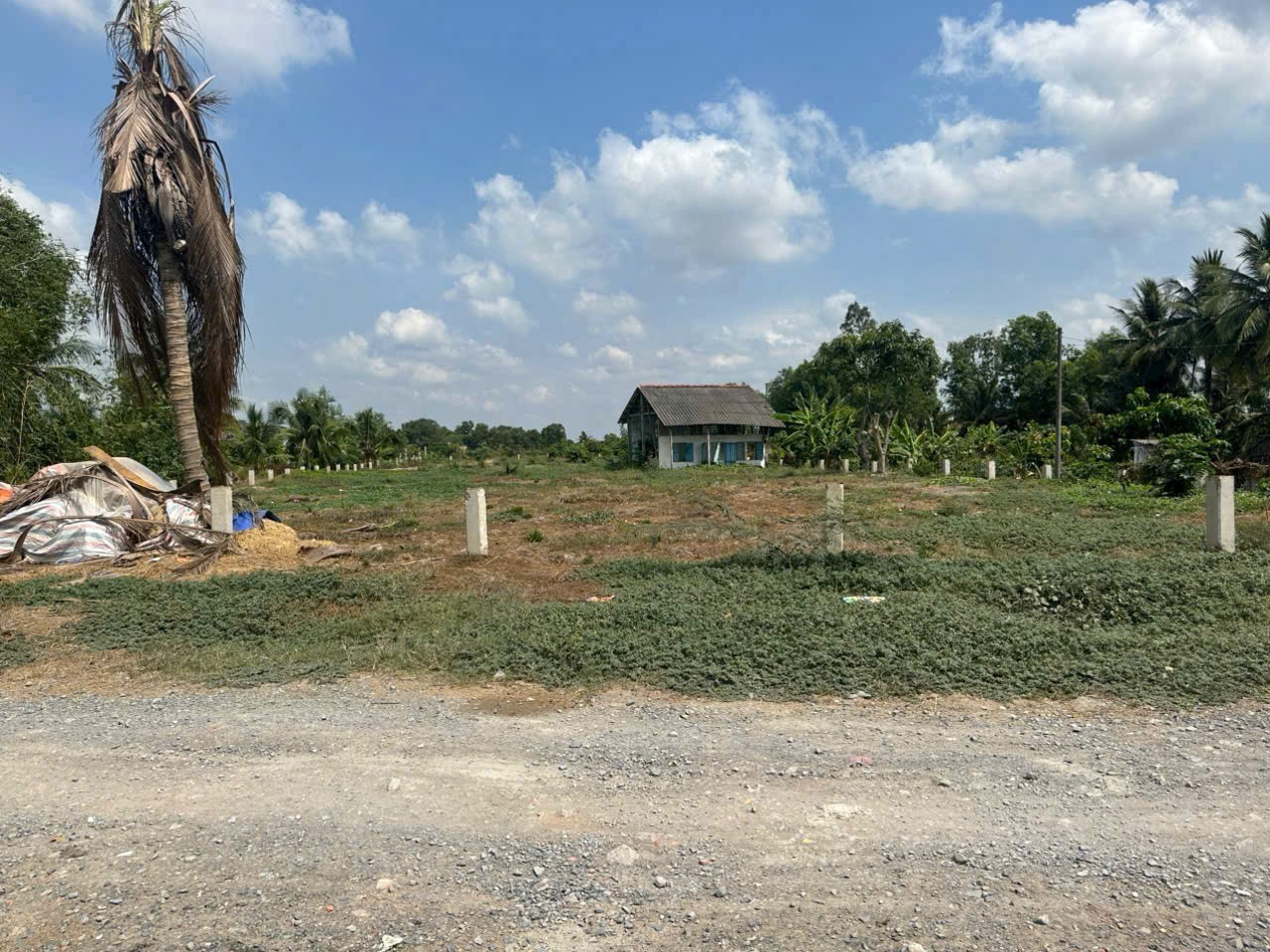 3000m2 đất ( có 300m2 thổ) đường Trương Văn Đa, xã Bình Lợi, Bình Chánh giá 11 tỷ