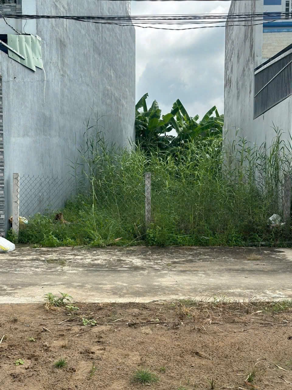 112m2 thổ cư xã Long Trạch , huyện Cần Đước giá 1,45 tỷ 3
