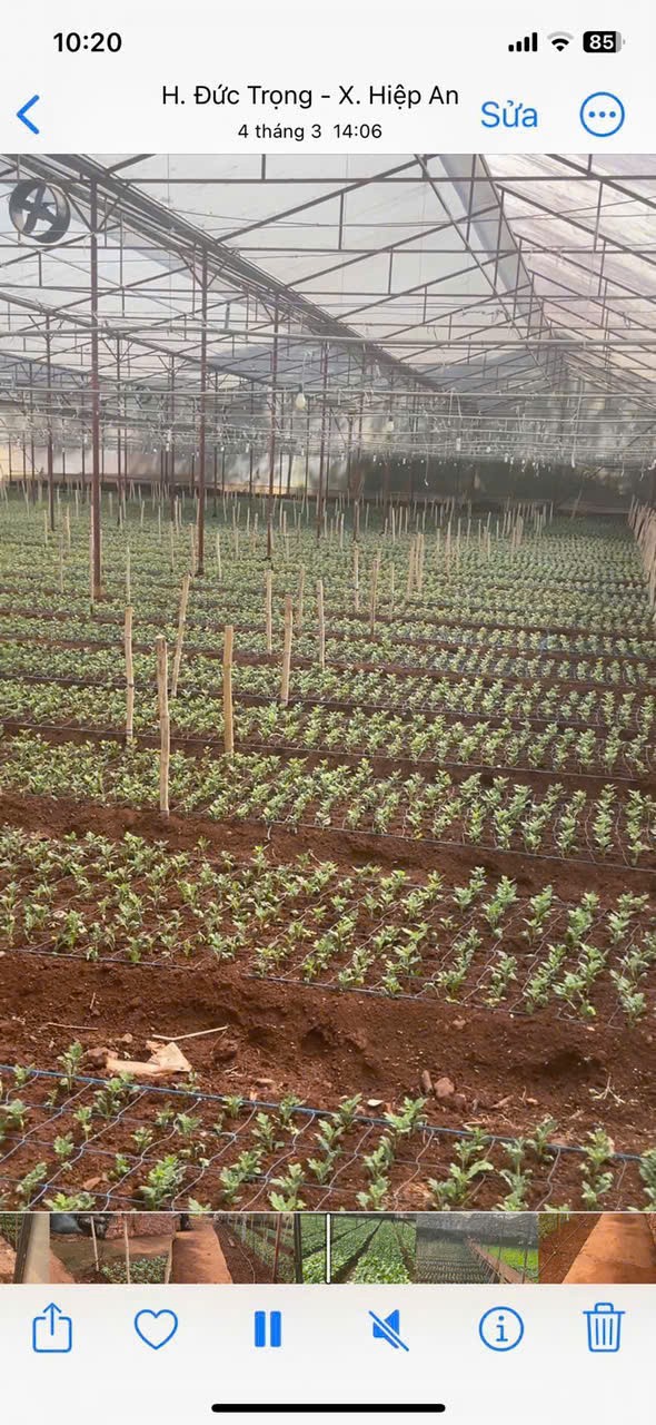 HẠ GIÁ KỊCH SÀN - BÁN GẦN 5000M2 HIỆP AN - GIẢM 5 TỶ 3