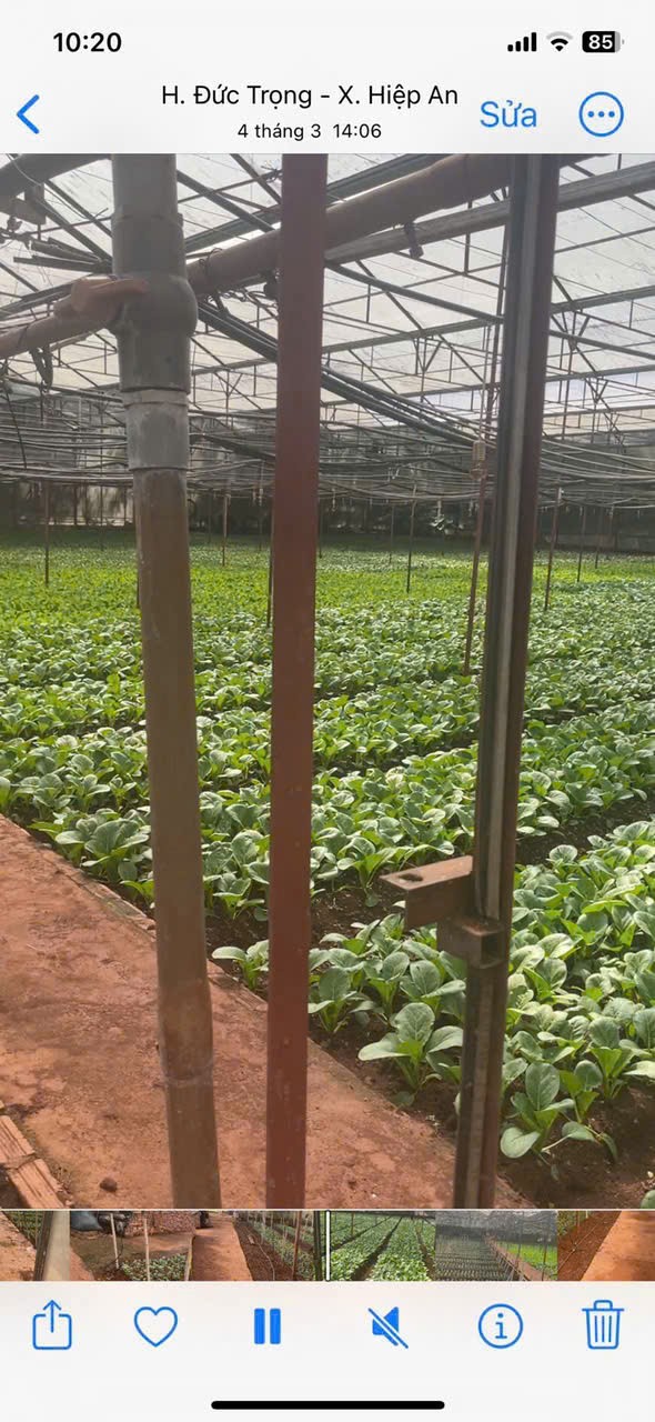 HẠ GIÁ KỊCH SÀN - BÁN GẦN 5000M2 HIỆP AN - GIẢM 5 TỶ