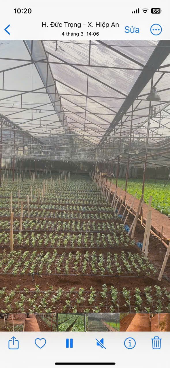 HẠ GIÁ KỊCH SÀN - BÁN GẦN 5000M2 HIỆP AN - GIẢM 5 TỶ 2