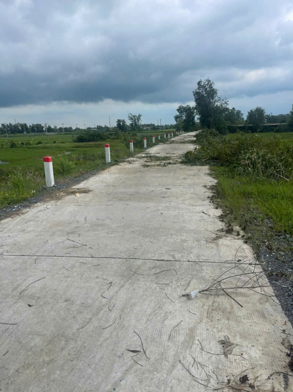 600m2 đất lúa đường beton xã Phước Hiệp, Củ Chi giá 1,05 tỷ 2
