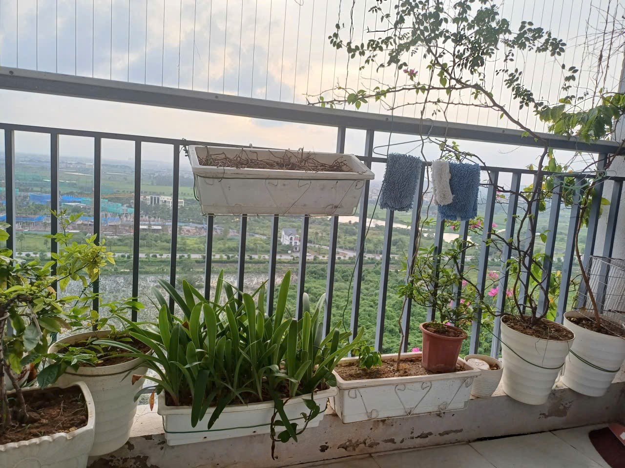 Cần bán Căn hộ chung cư đường 21, Phường Kiến Hưng, Diện tích 72m², Giá 2.88 Tỷ 7