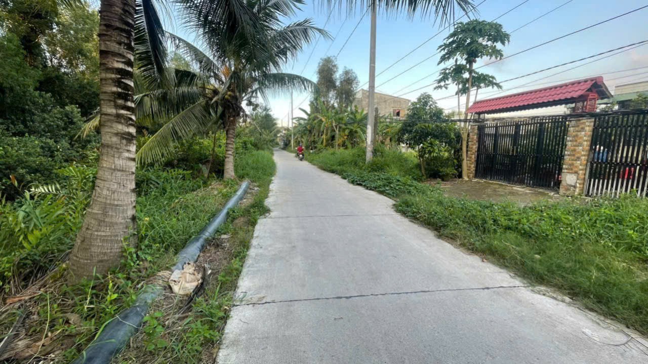 560m2 đất ( có 120m2 thổ cư) xã Lương Bình, Bến Lức, Long An giá 3,9 tỷ 5