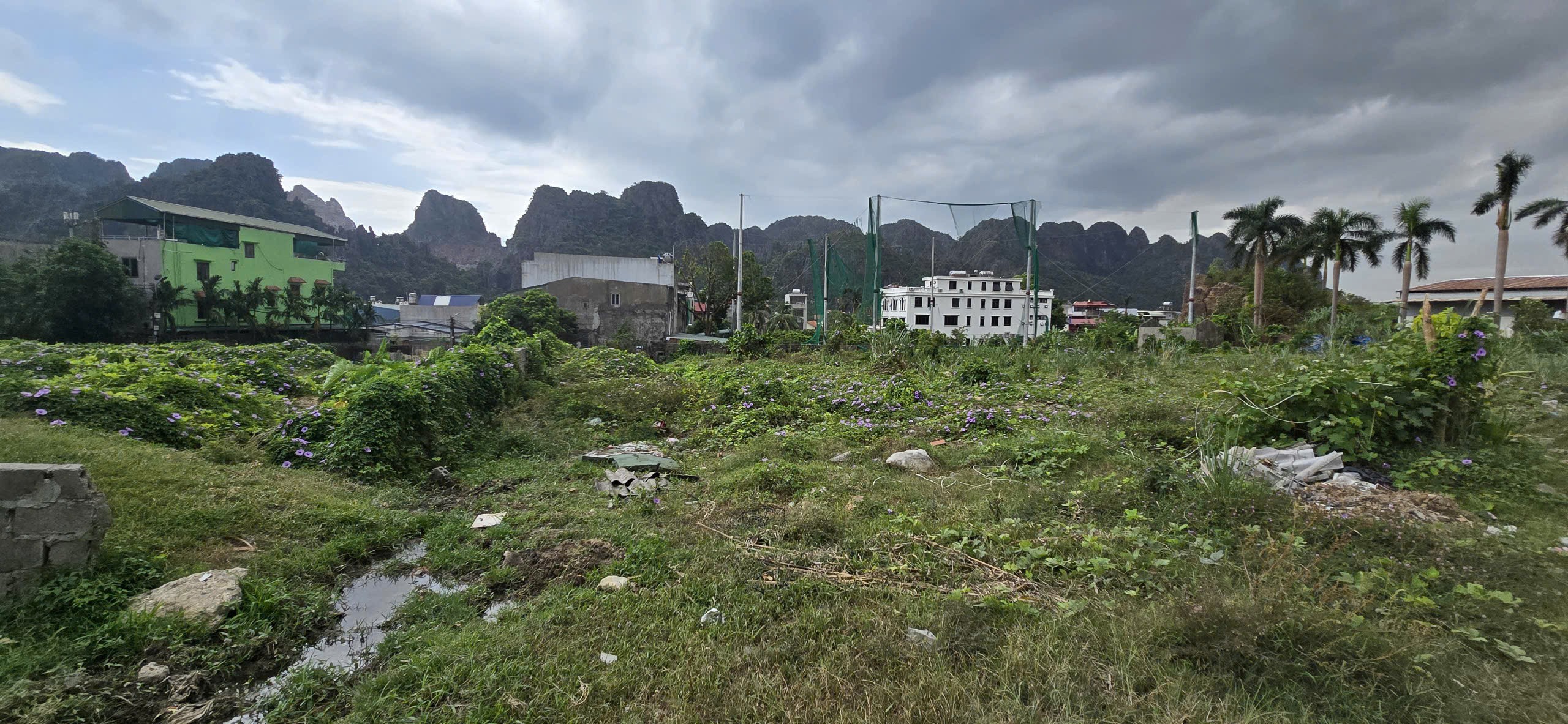 Bán đất đường QL 18 - đường Nguyễn Đức Cảnh, Quang Hanh, Cẩm Phả, Quảng Ninh, 1800m, MT 60m, miễn 2
