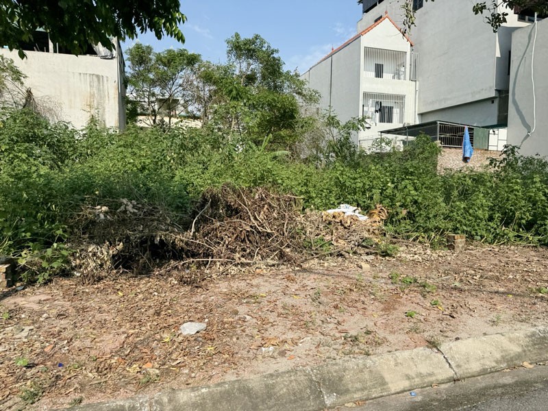 Cần bán Đất Xã Đông Dư, Gia Lâm, Diện tích 120m², Giá 12.6 Tỷ