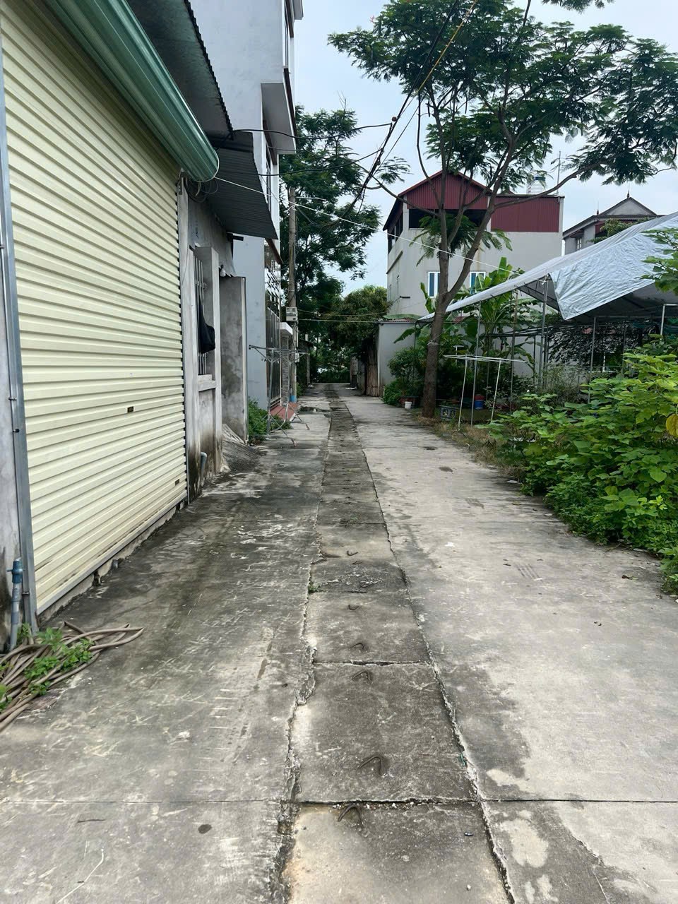 Cần Bán 58m thôn Ấp Tre, Tổ 10 Quang Minh, Mê Linh, HN. Đường thông, oto ra vào đất 2