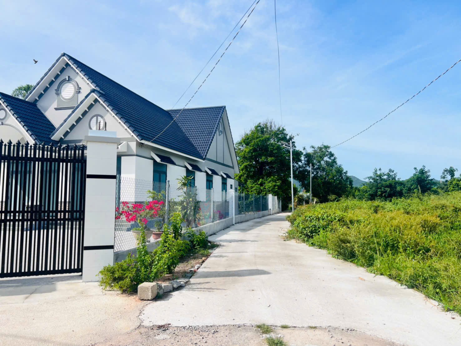 Cần bán Đất đường 44A, Thị trấn Phước Hải, Diện tích 140m², Giá Thương lượng