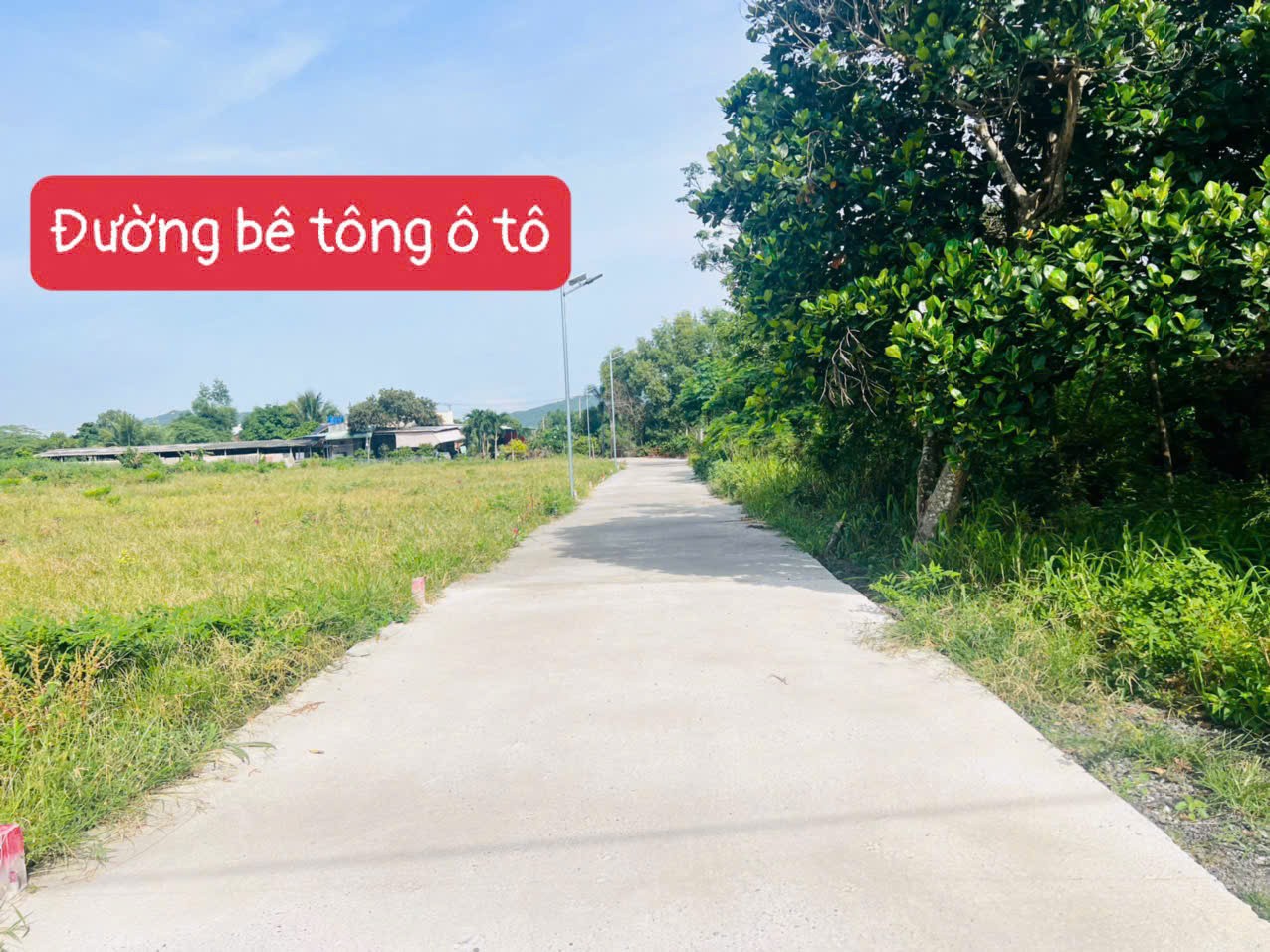 Cần bán Đất đường 44A, Thị trấn Phước Hải, Diện tích 140m², Giá Thương lượng 2