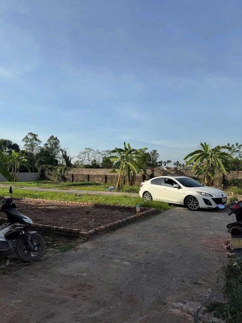 CHÍNH CHỦ GỬI BÁN 52.8M² ĐẤT ĐẸP – THỌ LỘC, PHÚC THỌ, HÀ NỘI 4