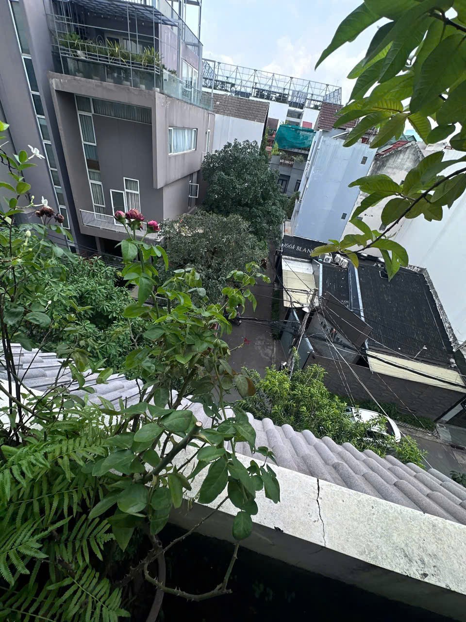 Cần bán Nhà mặt tiền Phường Thảo Điền, Quận 2, Diện tích 66m², Giá Thương lượng 6