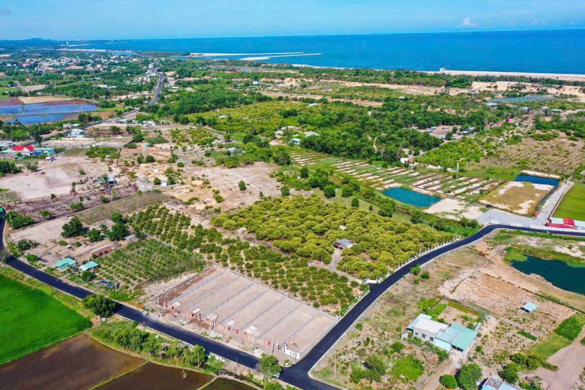 CHỦ CẦN TIỀN – BÁN GẤP LÔ ĐẤT PHƯỚC HỘI, CÁCH BIỂN 100M 3