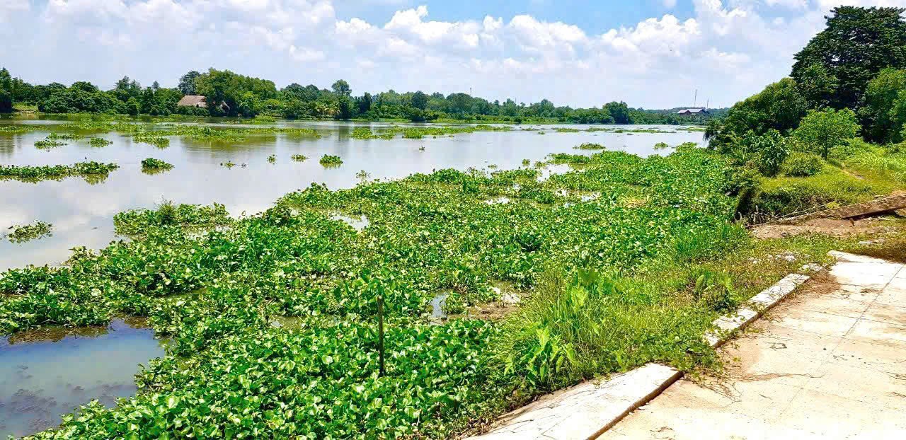 5153m2 đất ( có 300m2 thổ cư) mặt tiền sông Sài Gòn, xã Trung An, Củ Chi giá 33,5 tỷ