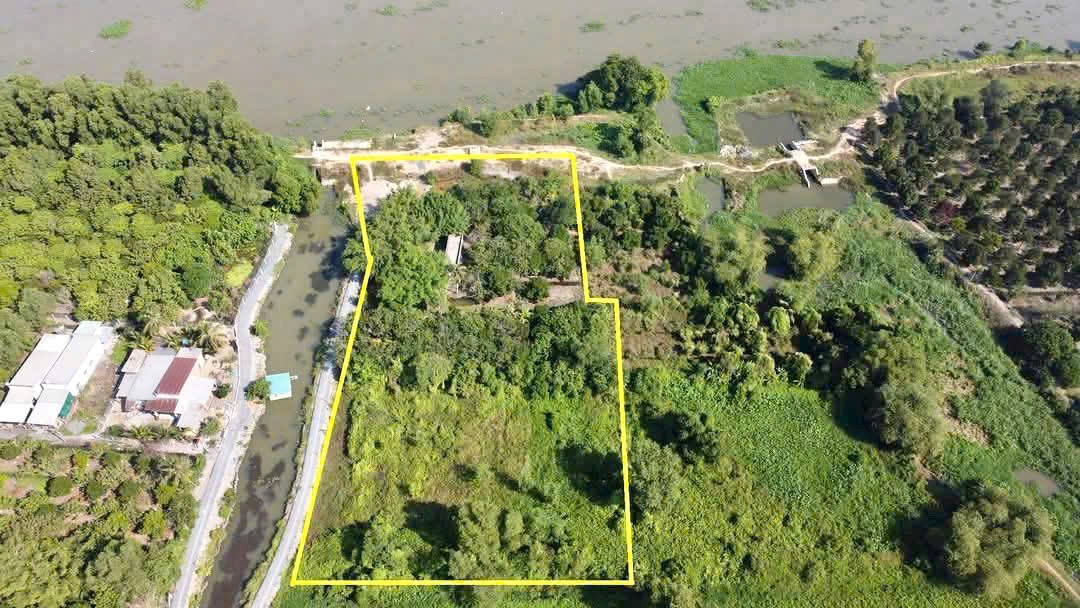 5153m2 đất ( có 300m2 thổ cư) mặt tiền sông Sài Gòn, xã Trung An, Củ Chi giá 33,5 tỷ 3