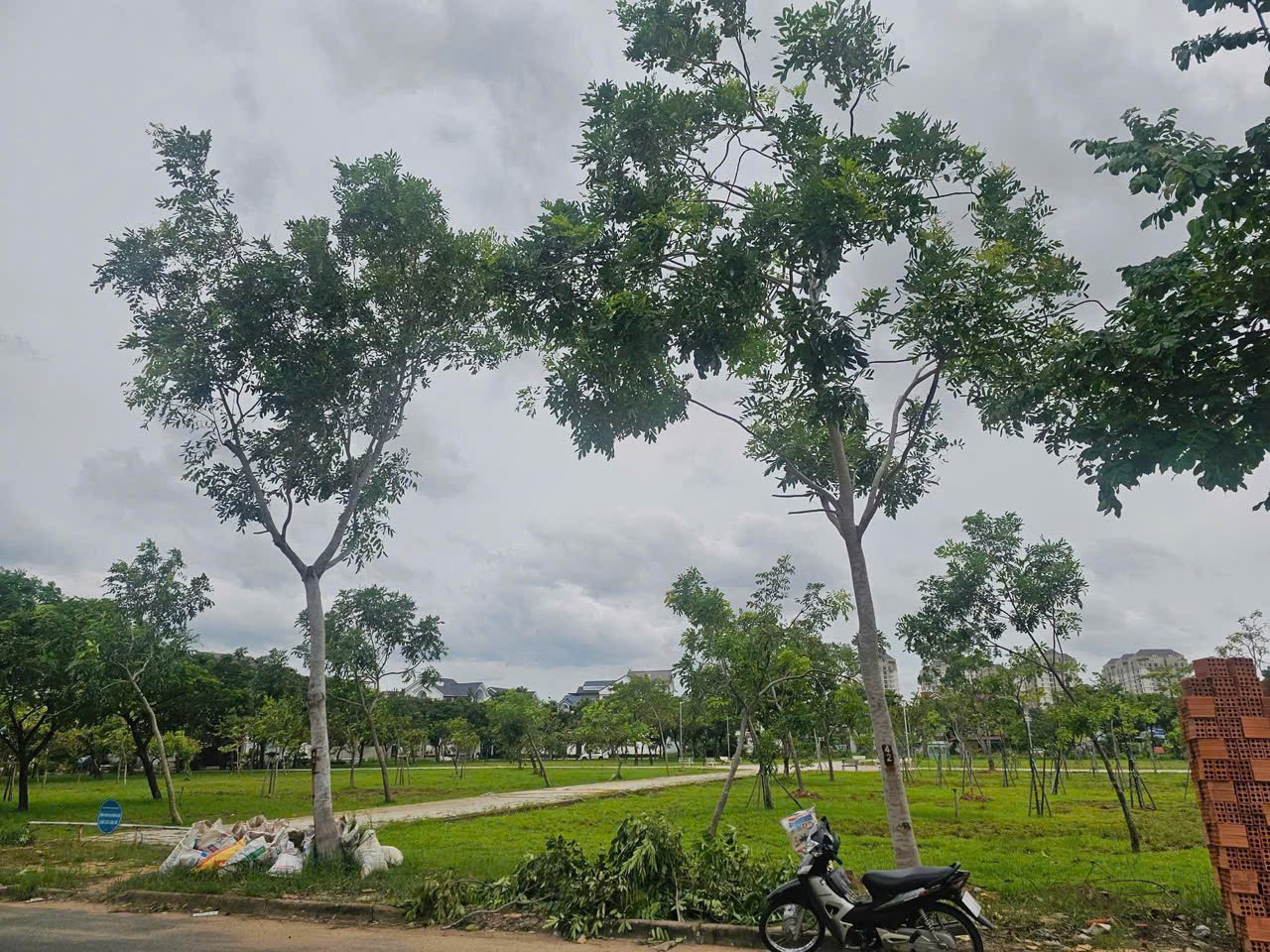 Cần bán Nhà mặt tiền Phường Phước Long B, Quận 9, Diện tích 369m², Giá 33 Tỷ 3