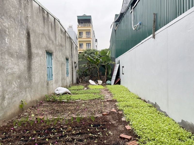 Cần bán 60m2 đất TĐC Trâu Quỳ, xã Gia Lâm. View vườn hoa, gần đường Nguyễn Mậu Tài 6