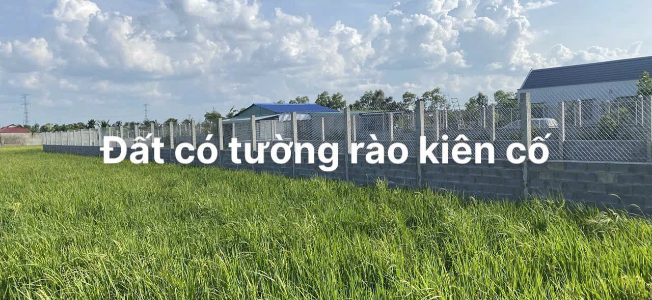 800m2 đất ( có 200m2 thổ) xã Thạnh Đức , Bến Lức , Long An giá 2,3 tỷ 3