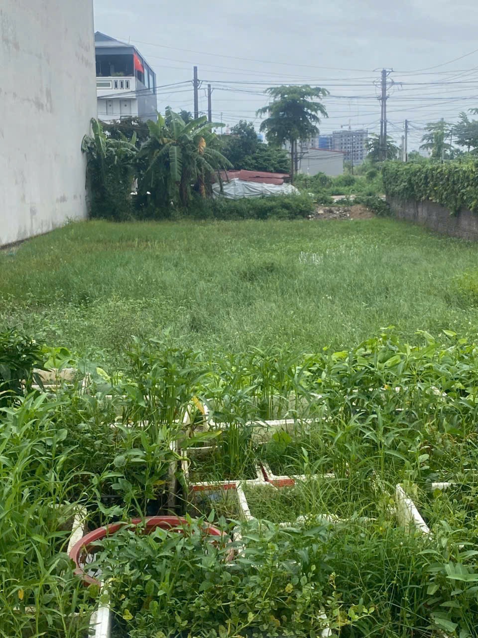 Bán đất Phúc Thắng, Phúc Yên, Vĩnh Phúc. Vị trí đẹp. Gần công ty HonDa và đường quốc lộ 2A