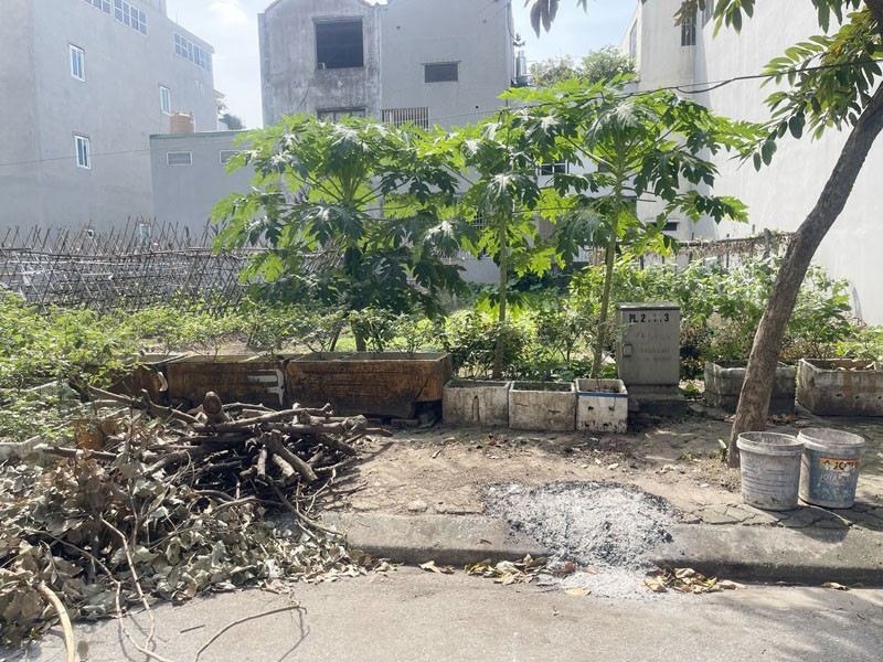 Cơ hội đầu tư: Đất 80m2 TĐC Kiêu Kỵ, đường bàn cờ, có vỉa hè, ô tô đỗ - Tiềm năng tăng giá lớn 5