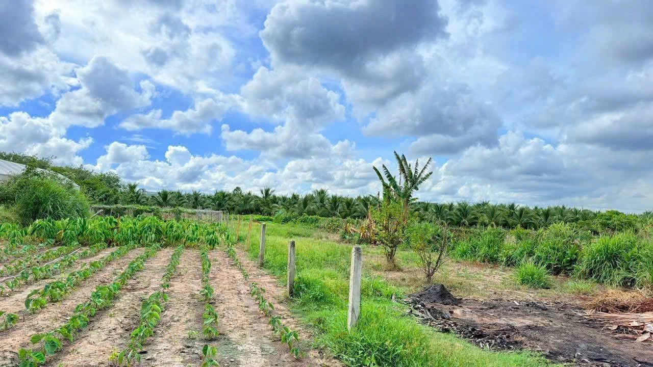 CẦN TIỀN GẤP! BÁN RẺ LÔ ĐẤT ĐẸP PHƯỚC HẢI – GIÁ THƯƠNG LƯỢNG 3