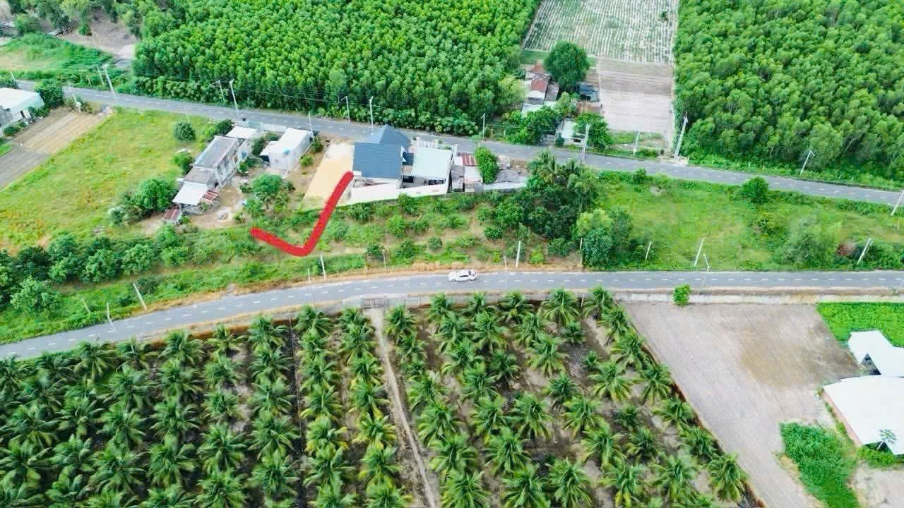 Cần bán Đất đường 44B, Thị trấn Phước Hải, Diện tích 183m², Giá Thương lượng 3