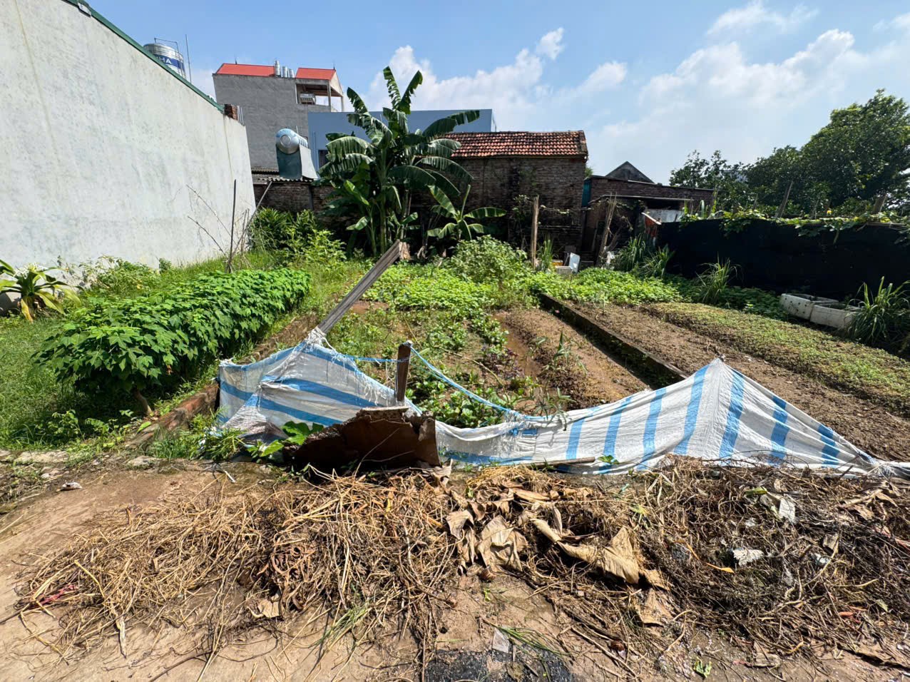 Đất đẹp Bạch Đa, Kim Hoa, Mê Linh. Lô đất nhỏ, siêu hiếm 2