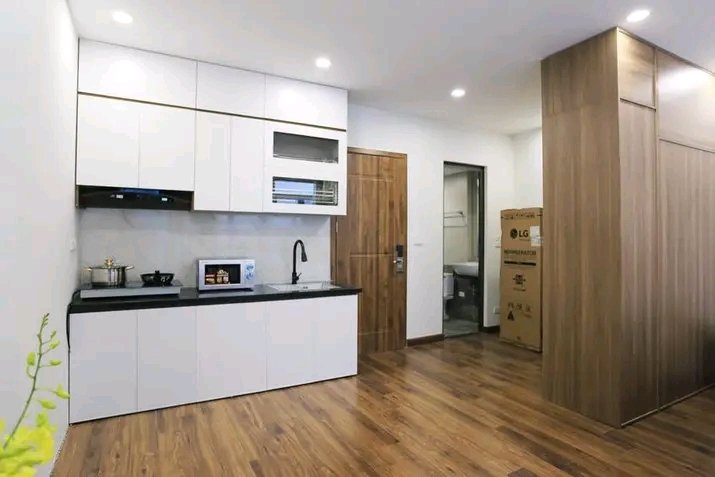 Cho thuê Căn hộ chung cư đường Âu Cơ, Phường Quảng An, Diện tích 45m², Giá Thương lượng 1