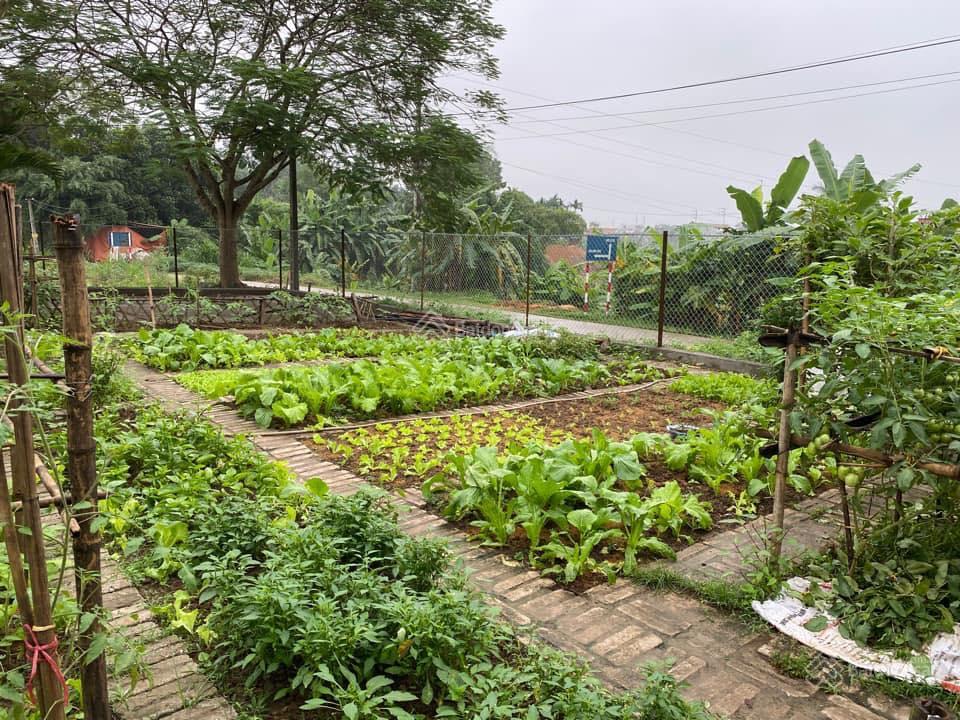 Em đang cần ra lô đất ngay thị trấn Ma Lâm, cách đường nhựa Lê Quý Đôn 50m. Giá 390tr hết sổ 4