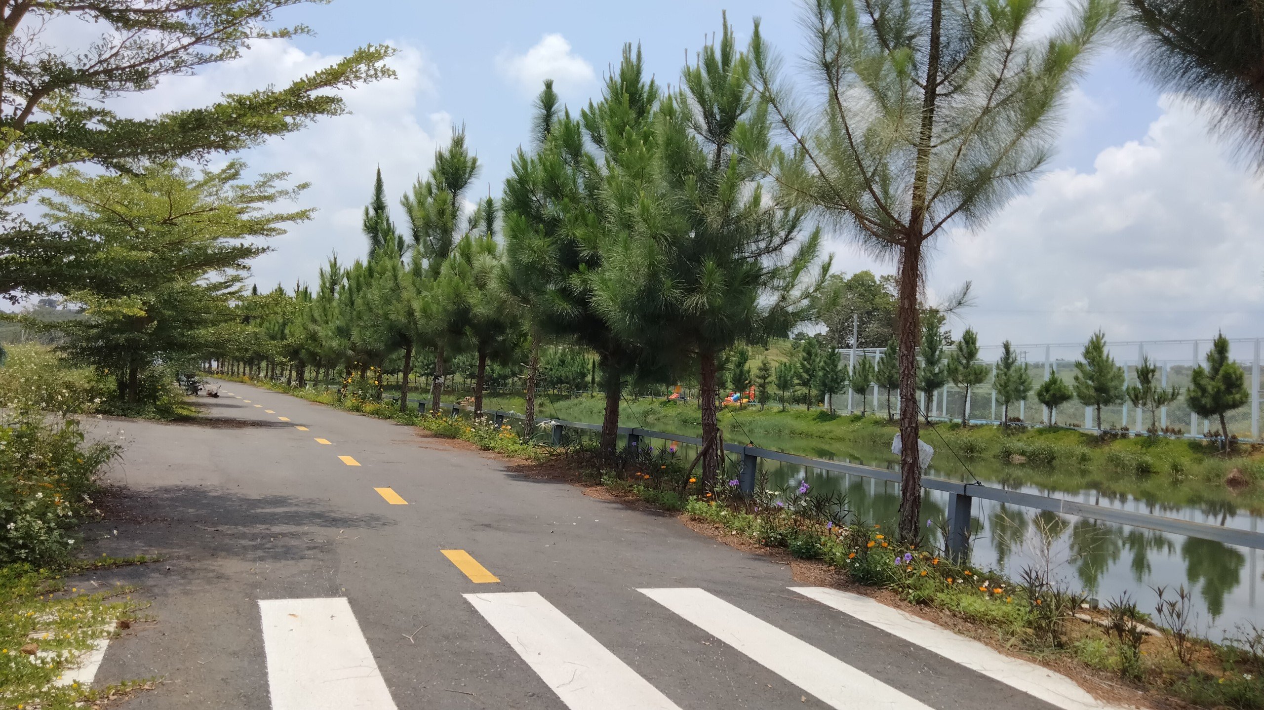 Cần bán Đất nền dự án dự án Bảo Lộc Park Hills, Diện tích 101m², Giá 1,3 Tỷ 8