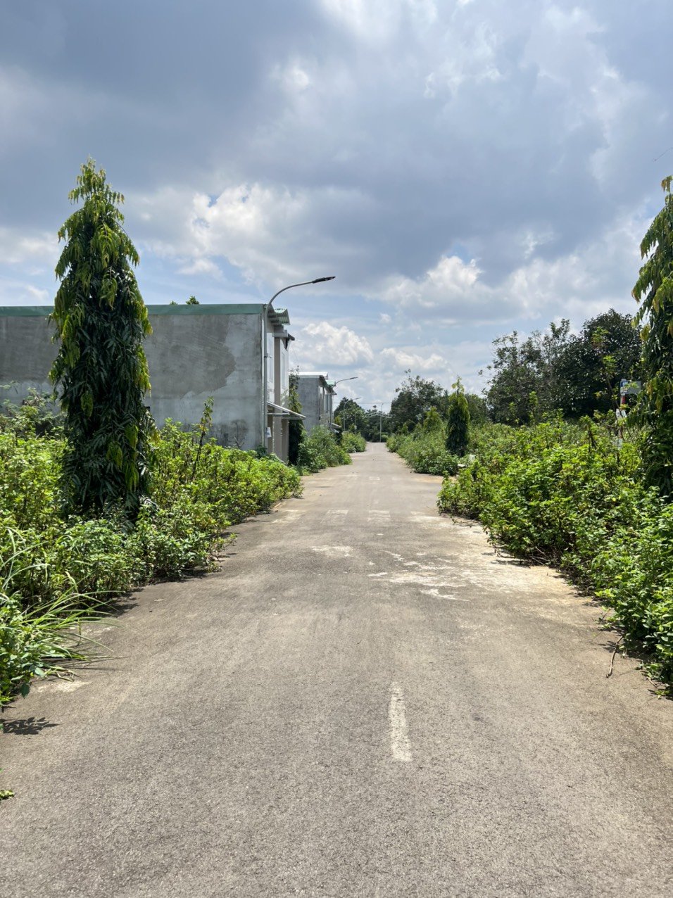 Cần bán Đất đường Quốc lộ 1A, Xã Bình Lộc, Diện tích 100m², Giá 1.35 Tỷ 7