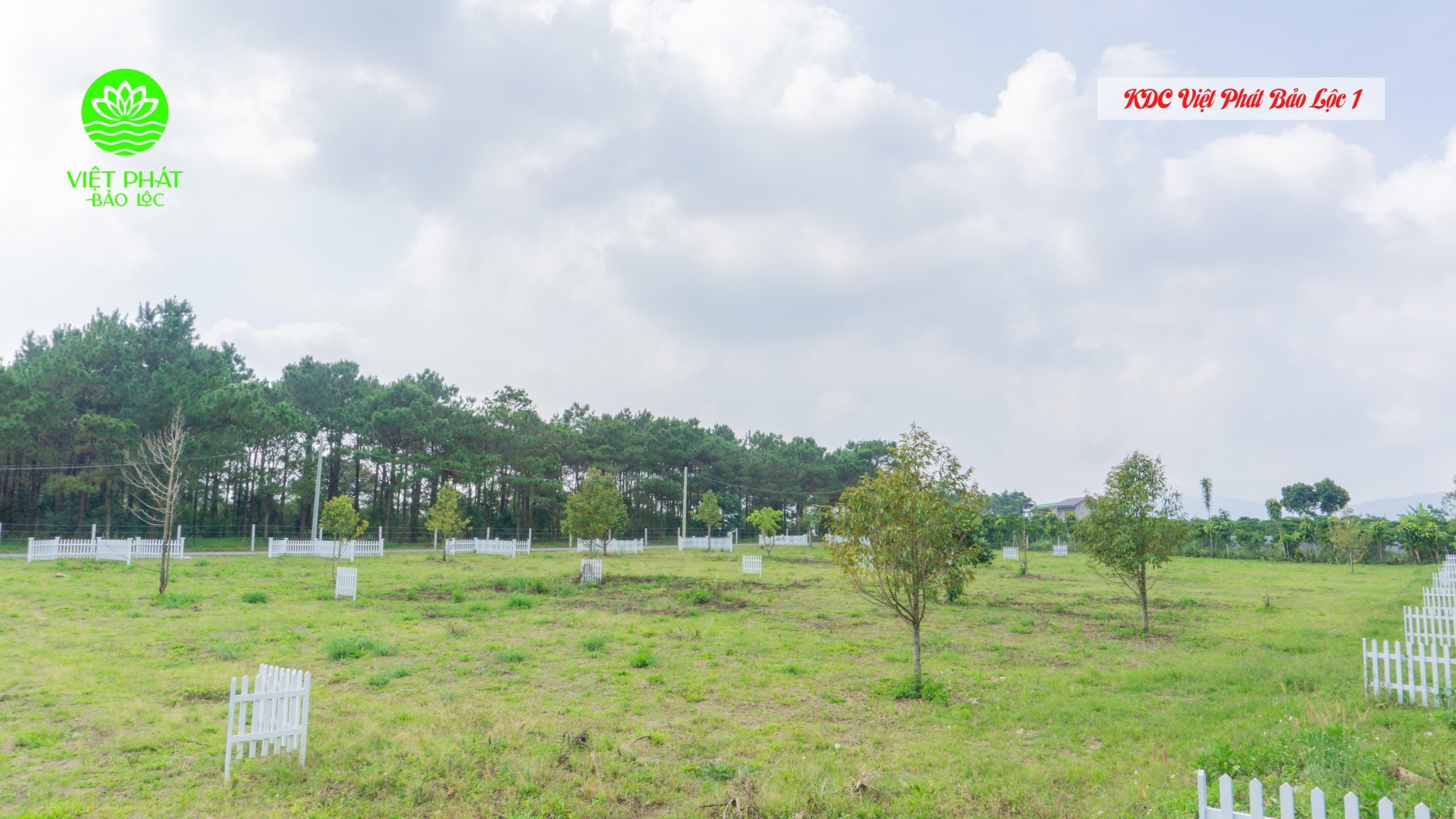 Cần bán Đất nền dự án đường Lê Thị Riêng, Xã Lộc Châu, Diện tích 500m², Giá 6 Triệu/m² 4