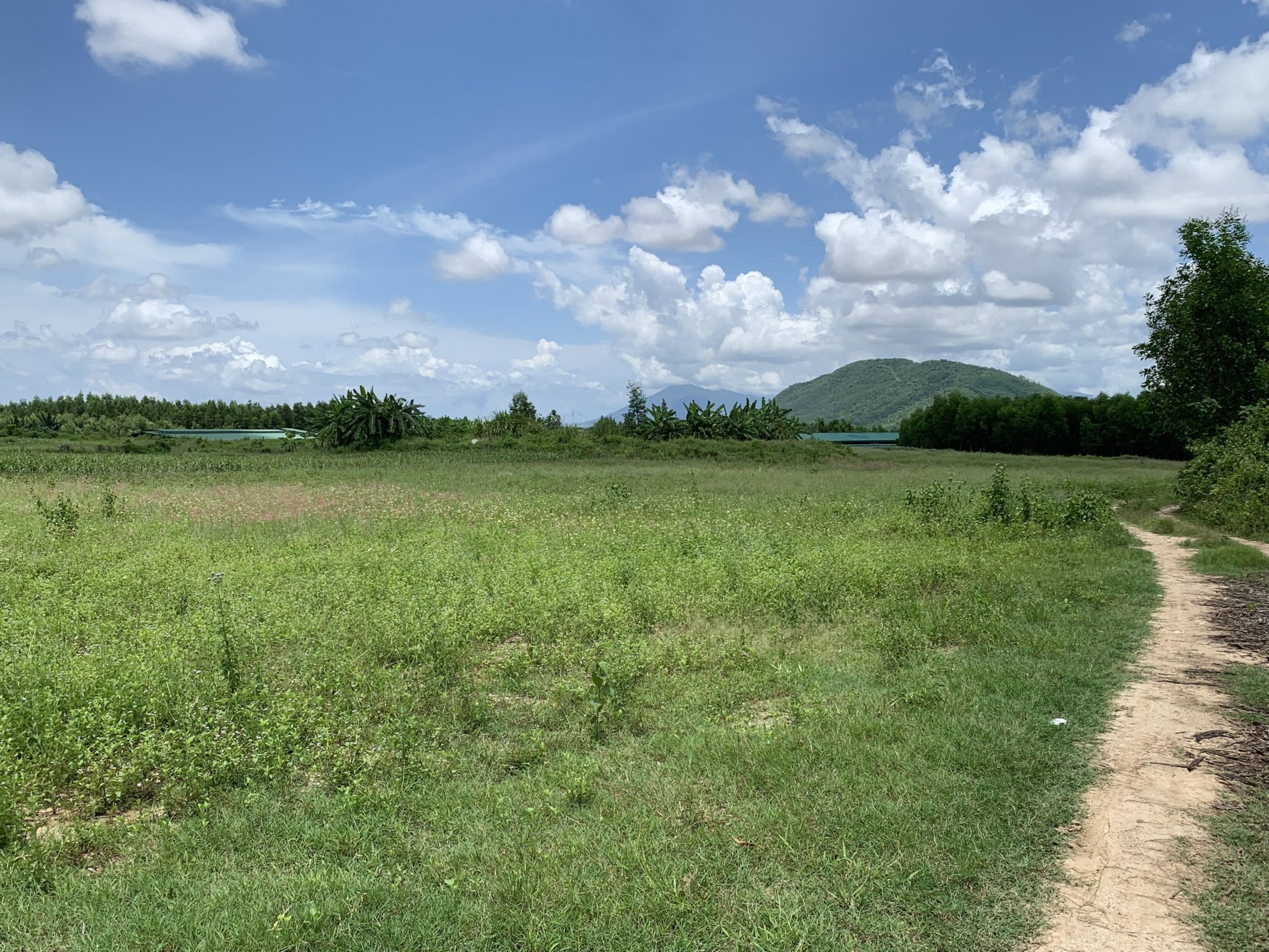 Cần bán Đất Xã Ninh Tân, Ninh Hòa, Diện tích 2349m², Giá 1.2 Tỷ 2