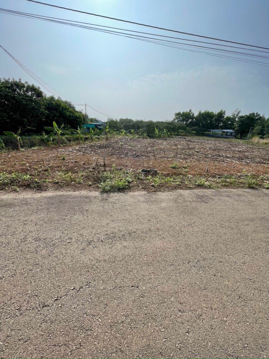 Cần bán Đất đường ĐT 769, Xã Hưng Lộc, Diện tích 120m², Giá 850 Triệu