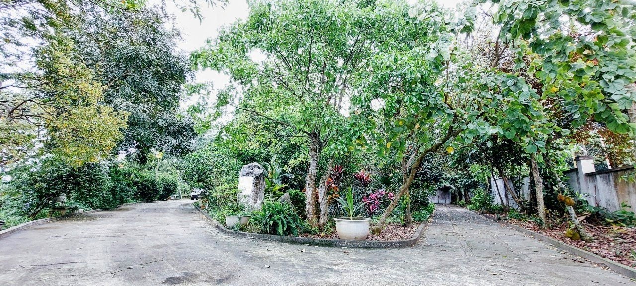 Chỉ còn duy nhất 1 căn biệt thự trang trại duy nhất tại TP Việt Trì, gần ngay FLC Phú Thọ 1