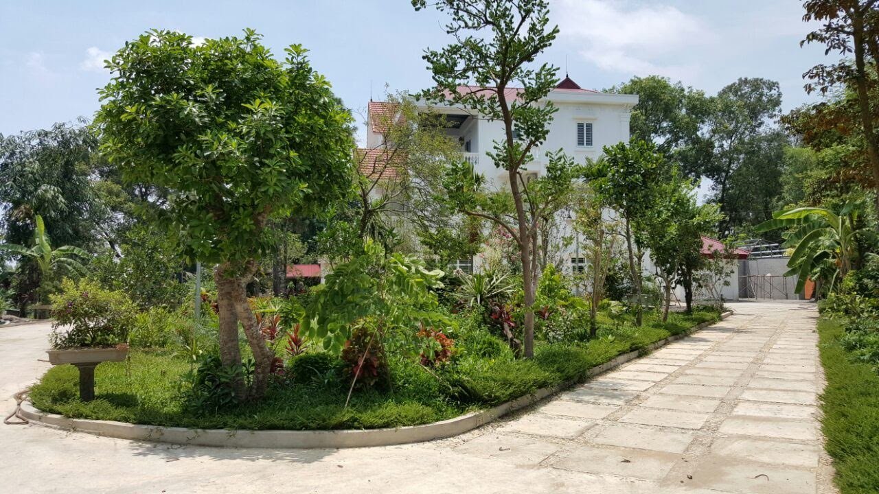 Chính chủ cần bán biệt thự trang trại rộng hơn 3000m2 tại  Việt Trì Phú Thọ
