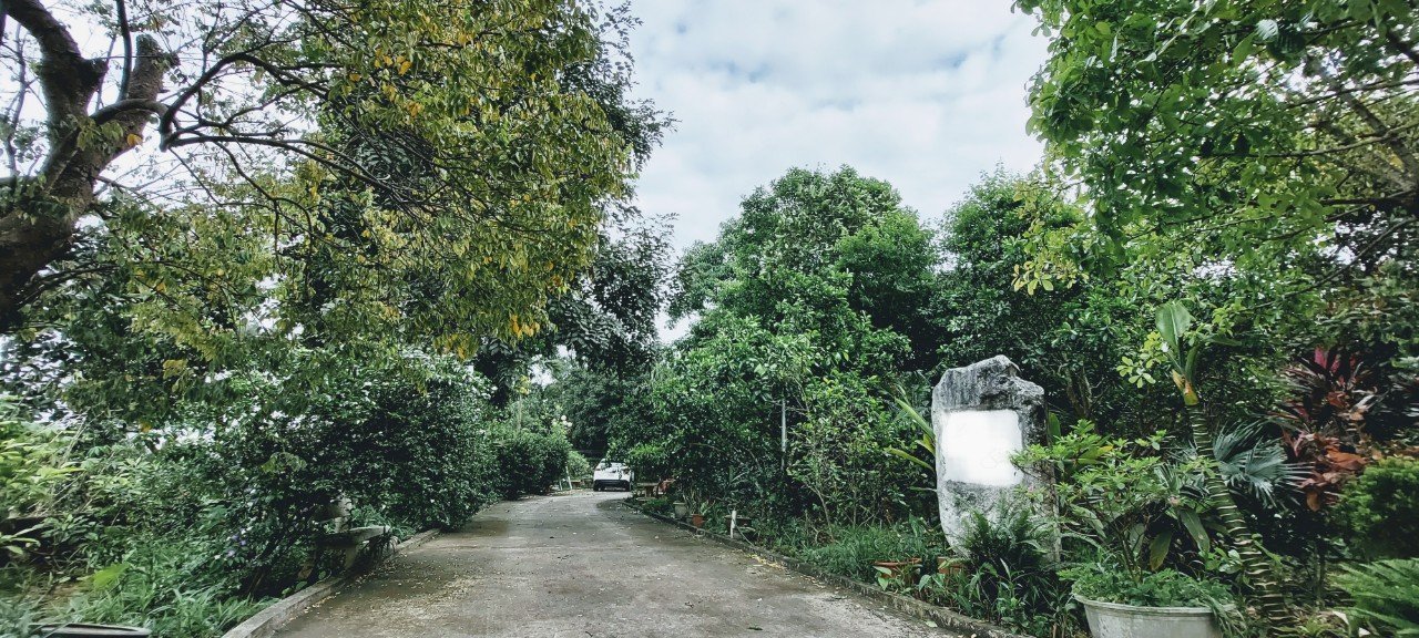 Chỉ còn duy nhất 1 căn biệt thự trang trại duy nhất tại TP Việt Trì, gần ngay FLC Phú Thọ 4