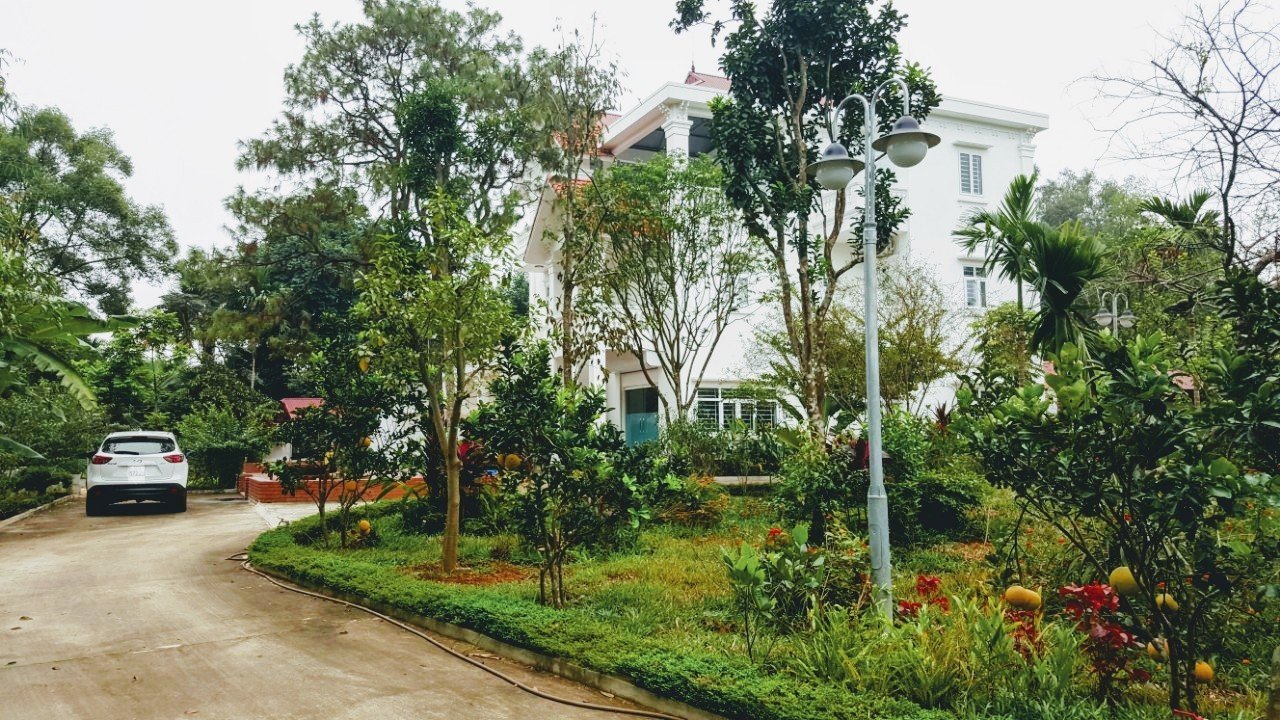 Chính chủ cần bán biệt thự trang trại rộng hơn 3000m2 tại  Việt Trì Phú Thọ thích hợp để nghỉ dưỡng 5