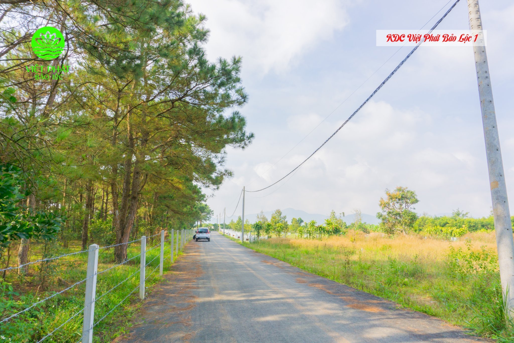 Cần bán Đất đường Lê Thị Riêng, Xã Lộc Châu, Diện tích 500m², Giá Thương lượng 2