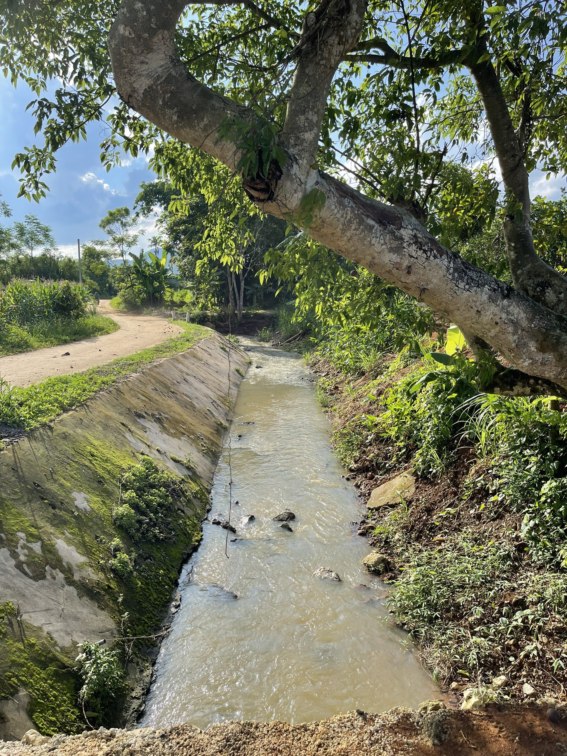 Siêu Phẩm 6178m/400m TC Bám Suối,View Thung Lũng Giá Vài Trăm Nghìn/M Tại Cao Phong. 7