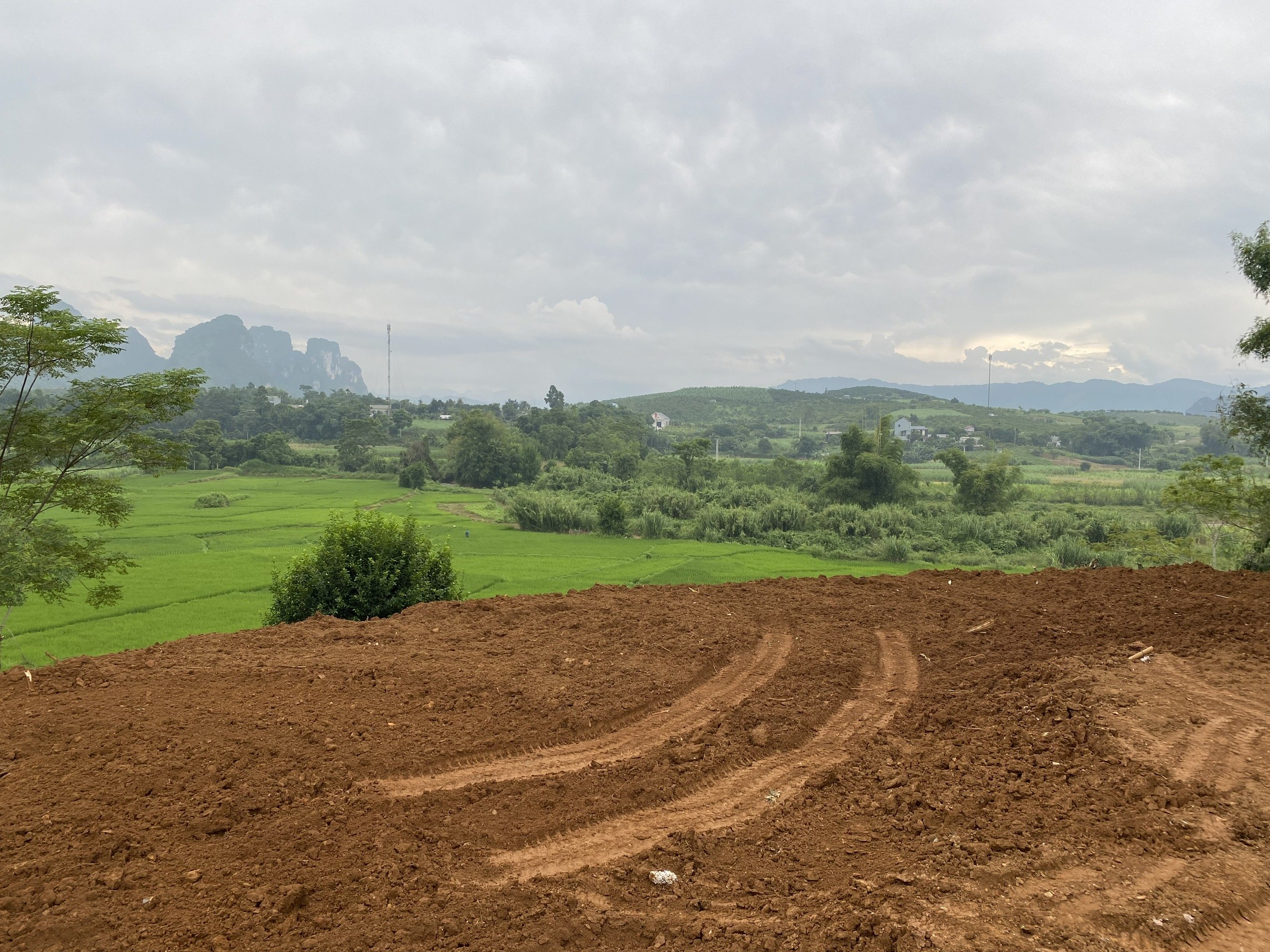 Siêu Phẩm 6178m/400m TC Bám Suối,View Thung Lũng Giá Vài Trăm Nghìn/M Tại Cao Phong. 4