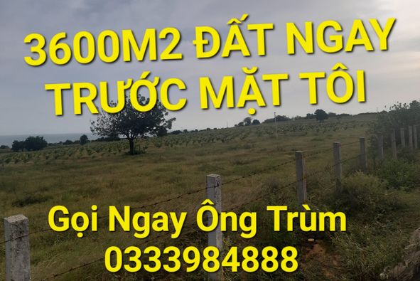 3600m2 có 9 tỷ x Ngyễn Thị Rành Trung Lập Hạ Củ Chi TPHCM 2