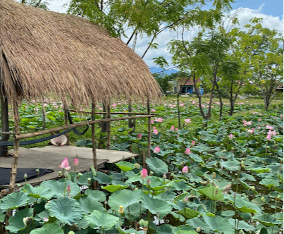 Đất nền gần khu du lịch bồ bồ , giáp ranh với Đà nẵng