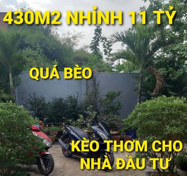 Ngộp - 430m2 nhỉnh 20tr/m2 Dương Công Khi Tân Hiệp Hóc Môn TPHCM 3