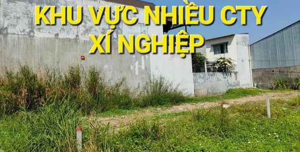 1333m2 Mặt Tiền Lô Góc Nguyễn Thị Nói Trung An Củ Chi TPHCM nhỉnh 10 tỷ 3