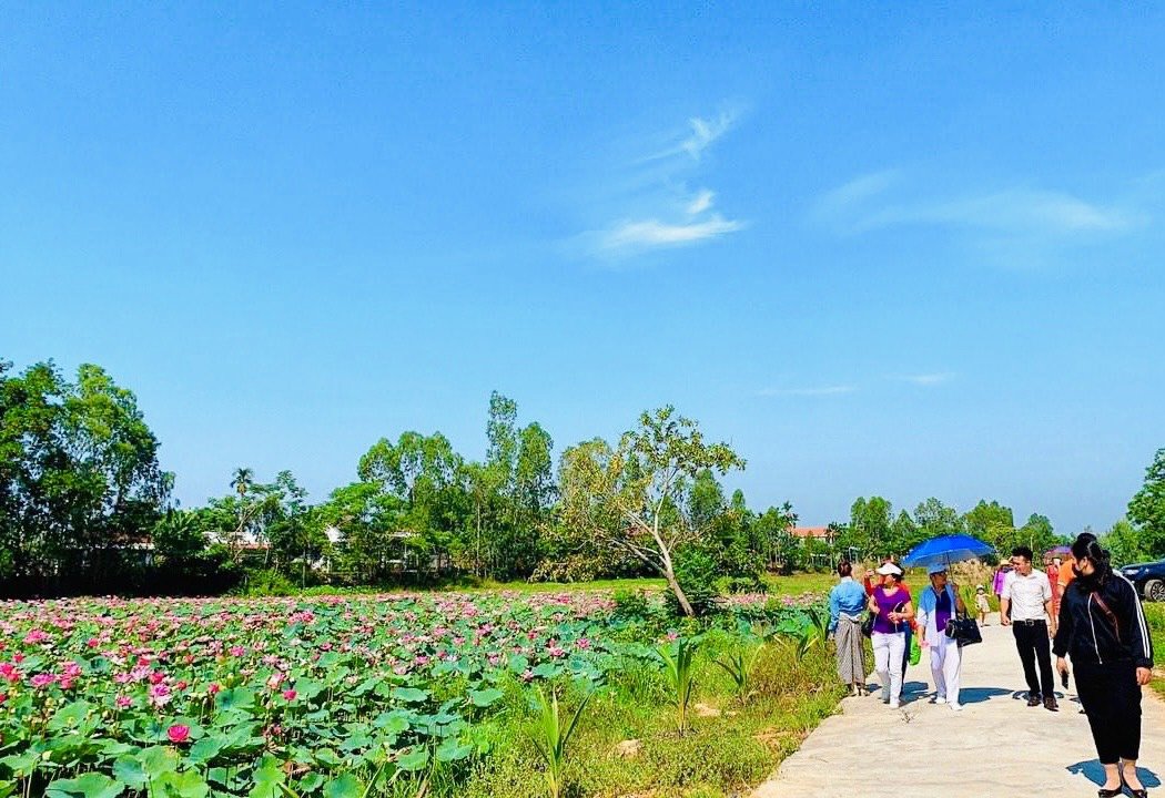 GIÁ SIÊU HỜI - Lô view hồ sen siêu phẩm ngay trục 17m giáp Hòa Tiến-ĐN 2