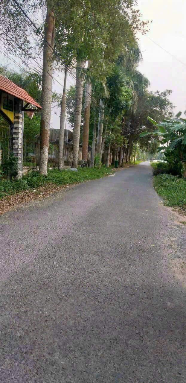 Cần bán Nhà ở, nhà cấp 4, nhà hẻm đường Dương Minh Quan, Phường 5, Diện tích 341m², Giá 3 Tỷ 5