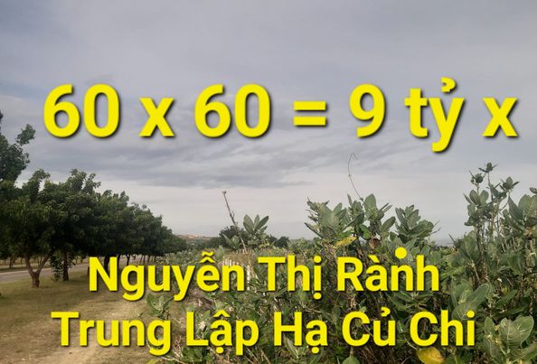 3600m2 có 9 tỷ x Ngyễn Thị Rành Trung Lập Hạ Củ Chi TPHCM 4