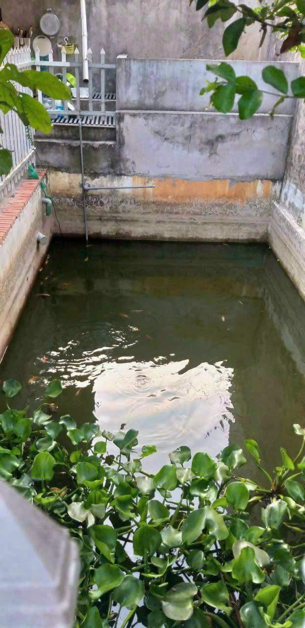 Cần bán Nhà ở, nhà cấp 4, nhà hẻm đường Dương Minh Quan, Phường 5, Diện tích 341m², Giá 3 Tỷ 4